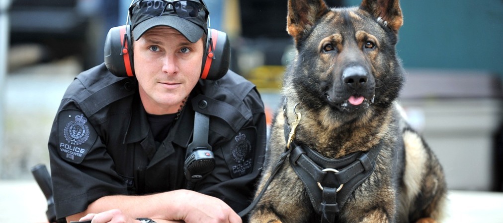 What Are Small Service Dogs Used For What Are Small Service Dogs Used For