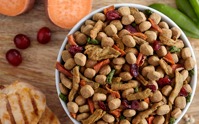 Best Dog Food For Pregnant Dogs - All About Dogs Best Dog Food For Pregnant Dogs - All About Dogs