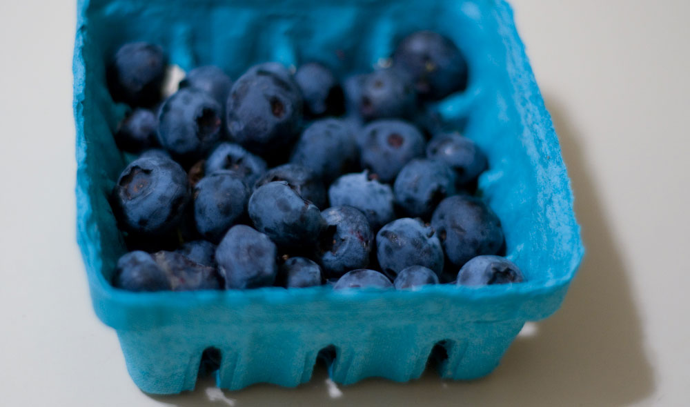 Can Dogs Eat Blueberries Good for Diarrhea All About Dogs